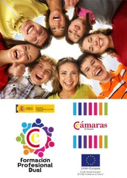 PLAN FORMACIÓN PROFESIONAL DUAL